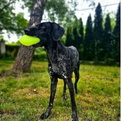 DINGO Piłka świecąca Play and Glow (8 x 14 cm)