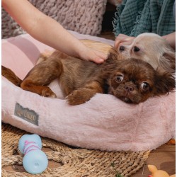 DINGO Zabawka Kość 11 cm