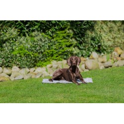 TRIXIE Miękka mata chłodząca - szara XXL: 110 x 70 cm