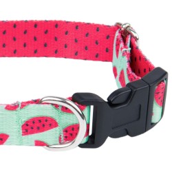 AMIPLAY Obroża regulowana BeHappy - Watermelon S