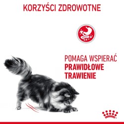 ROYAL CANIN Digest Sensitive karma mokra w sosie dla kotów dorosłych, wrażliwy przewód pokarmowy 12x 85g