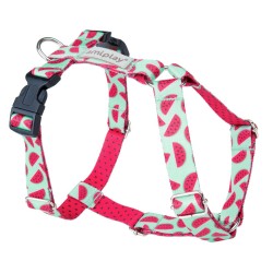 AMIPLAY Szelki regulowane Guard BeHappy - Watermelon XL