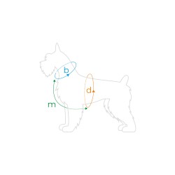 AMIPLAY Szelki regulowane Guard BeHappy - Watermelon L