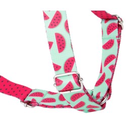 AMIPLAY Szelki regulowane Guard BeHappy - Watermelon L