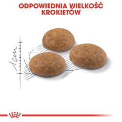 ROYAL CANIN Outdoor karma sucha dla kotów dorosłych, aktywnych i często wychodzących na zewnątrz 2kg