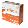 VETFOOD Hepatoforce (blister) 30 kapsułek