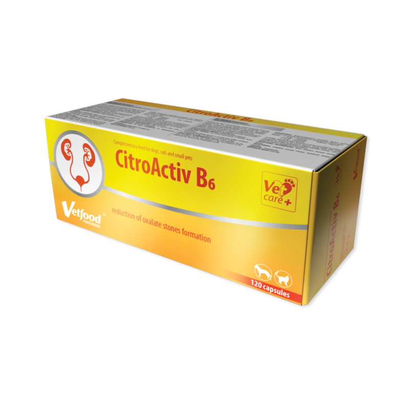VETFOOD CitroActiv B6 120 kapsułek