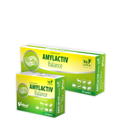 VETFOOD Amylactiv Balance 60 kapsułek