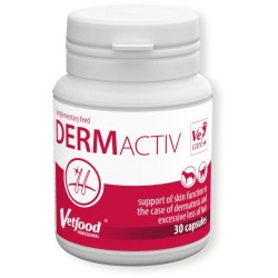 VETFOOD DERMActiv 90kaps.