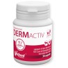 VETFOOD DERMActiv 90kaps.
