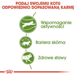 ROYAL CANIN Outdoor karma sucha dla kotów dorosłych, aktywnych i często wychodzących na zewnątrz 4 kg