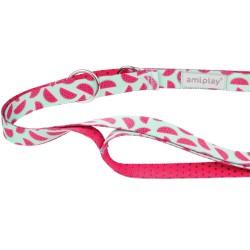 AMIPLAY Smycz regulowana 7 in 1 BeHappy - Watermelon S