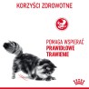 ROYAL CANIN Digest Sensitive karma mokra w sosie dla kotów dorosłych, wrażliwy przewód pokarmowy 48x 85g