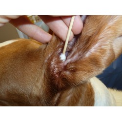 PORTICA BambooStick S/M - patyczek z wacikiem do pielęgnacji uszu 10 szt.