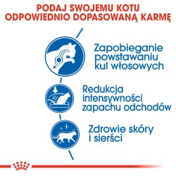ROYAL CANIN  Indoor Long Hair karma sucha dla kotów dorosłych, długowłose, przebywających wyłącznie w domu 4 kg