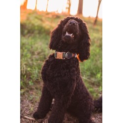 LAUREN DESIGN Color Obroża z klamrą - forest gold L