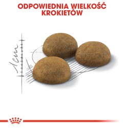 ROYAL CANIN  Indoor Long Hair karma sucha dla kotów dorosłych, długowłose, przebywających wyłącznie w domu 2x 10 kg