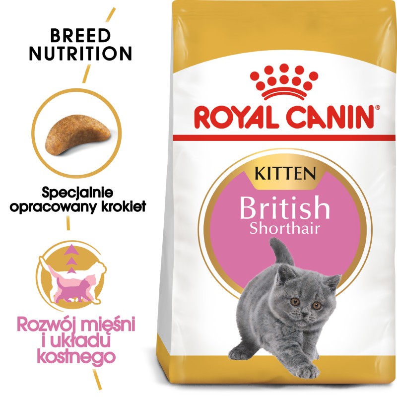 ROYAL CANIN British Shorthair Kitten karma sucha dla kociąt, do 12 miesiąca, rasy brytyjski krótkowłosy 2kg