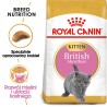ROYAL CANIN British Shorthair Kitten karma sucha dla kociąt, do 12 miesiąca, rasy brytyjski krótkowłosy 2kg