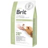 BRIT Grain Free Veterinary Diets Dog Diabetes 12kg