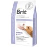 BRIT Grain Free Veterinary Diets Dog Gastrointestinal 2kg