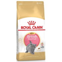 ROYAL CANIN British Shorthair Kitten karma sucha dla kociąt, do 12 miesiąca, rasy brytyjski krótkowłosy 10 kg