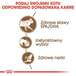 ROYAL CANIN Ageing +12 karma mokra w sosie dla kotów dojrzałych, po 12 roku życia 48x 85g