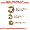 ROYAL CANIN Ageing +12 karma mokra w sosie dla kotów dojrzałych, po 12 roku życia 48x 85g