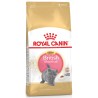 ROYAL CANIN British Shorthair Kitten karma sucha dla kociąt, do 12 miesiąca, rasy brytyjski krótkowłosy 2x 10 kg