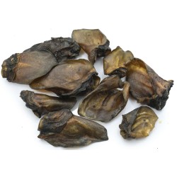 MACED Ucho z dzika 10 szt.