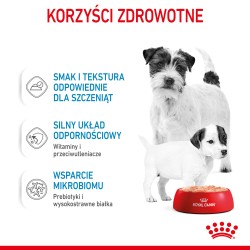 ROYAL CANIN Starter Mother and Babydog Mousse karma mokra - mus dla suk w ciąży i laktacji oraz szczeniąt do 2 miesiąca życia 19