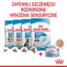 ROYAL CANIN Starter Mother and Babydog Mousse karma mokra - mus dla suk w ciąży i laktacji oraz szczeniąt do 2 miesiąca życia 19