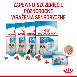 ROYAL CANIN Starter Mother and Babydog Mousse karma mokra - mus dla suk w ciąży i laktacji oraz szczeniąt do 2 miesiąca życia 12