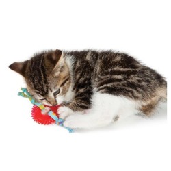 PETSTAGES Koło do zabawy dla kociąt