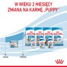 ROYAL CANIN Starter Mother and Babydog Mousse karma mokra - mus dla suk w ciąży i laktacji oraz szczeniąt do 2 miesiąca życia 12