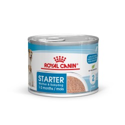 ROYAL CANIN Starter Mother and Babydog Mousse karma mokra - mus dla suk w ciąży i laktacji oraz szczeniąt do 2 miesiąca życia 12