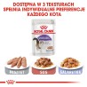 ROYAL CANIN Sterilised Gravy karma mokra w sosie dla kotów dorosłych, sterylizowanych 12x 85g