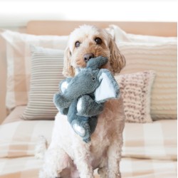KONG Comfort Kiddos Elephant  S