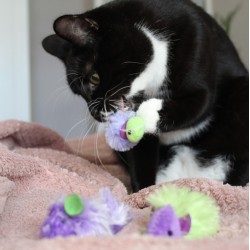 DINGO Zabawka dla kota - Disco myszki 2 szt.