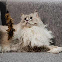 DINGO Wędka dla kota Charming - Brązowa z 3 wymiennymi zabawkami