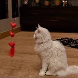 DINGO Wędka dla kota Love - Serca z piórkami