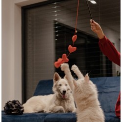 DINGO Wędka dla kota Love - Serca z piórkami