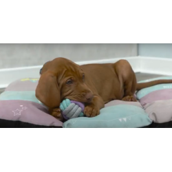 TRIXIE Piłka sznurowa 9cm