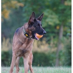 DINGO Zabawka winylowa Halloween - Dynia 7 cm