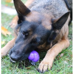 DINGO Zabawka winylowa Halloween - Nietoperz Nocek 9 cm