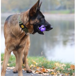 DINGO Zabawka winylowa Halloween - Nietoperz Nocek 9 cm