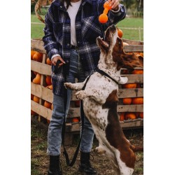 DINGO Zabawka winylowa Halloween - Hantel Dynia 17 cm