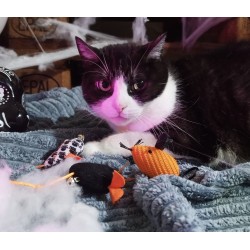 DINGO Zabawka Halloween - Myszki z Salem 3 szt.