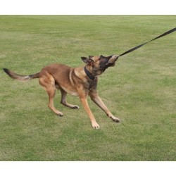 DINGO Szarpak sztuczne futro z długą rączką bungee 150 cm