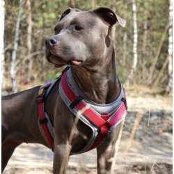 DINGO Szelki Ultra Active - morskie XS